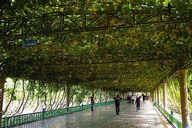 KK官方对战平台主播专访：魔兽RPG，8090后的专属娱乐避风港！